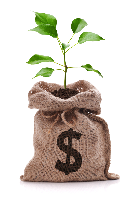 Money tree